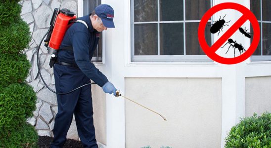 Çubuk Hamam Böceği İlaçlama böcek ilaçlama ve haşere kontrolü — ilaclama-tr.com